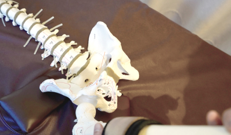 腰部/骨盤/股関節