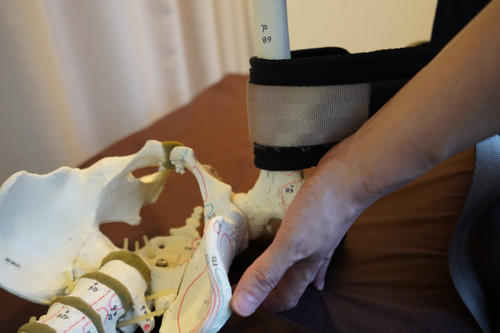 関節･骨格治療