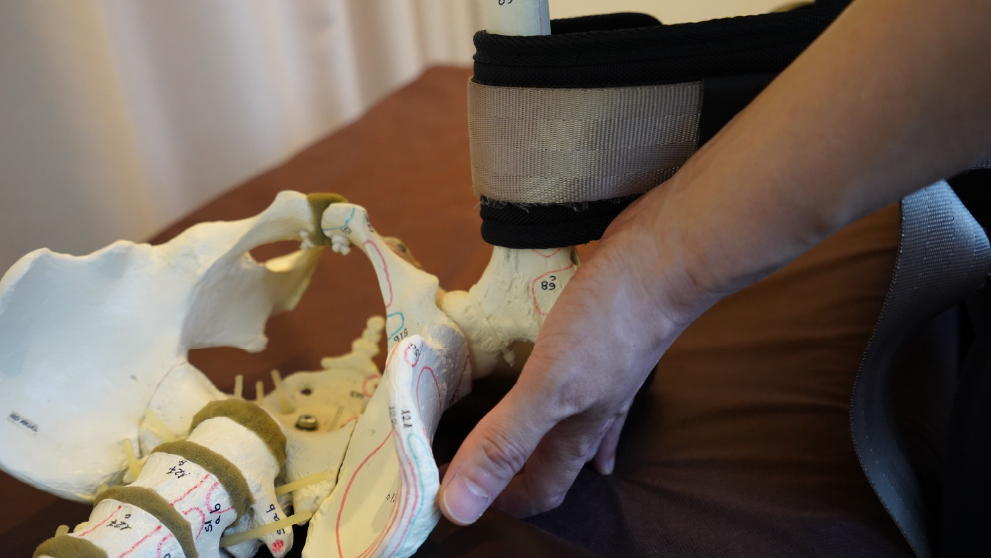 関節･骨格治療