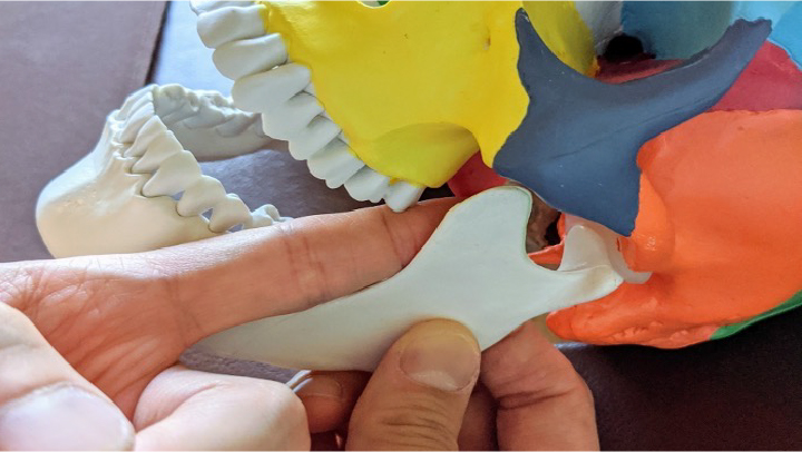 顎関節症について